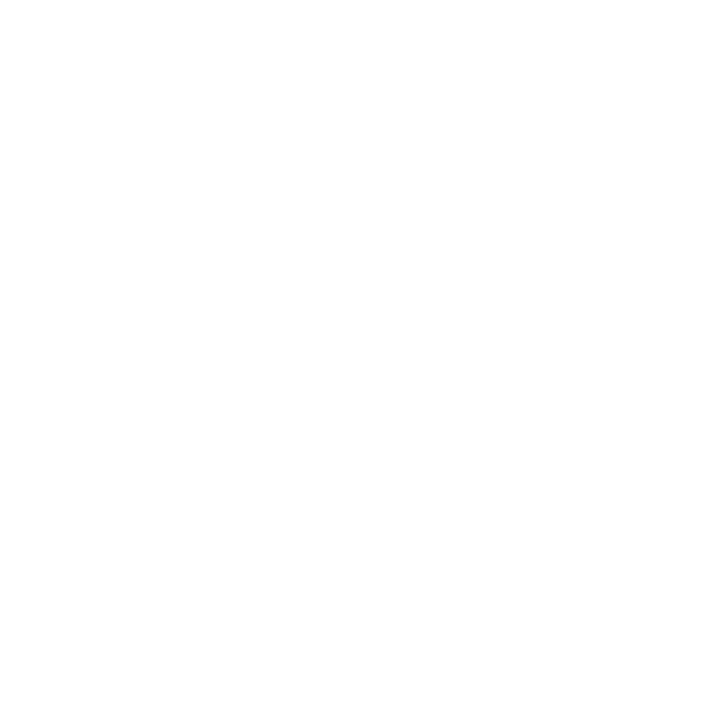 lesch-law-logo-white-transparent-smooth